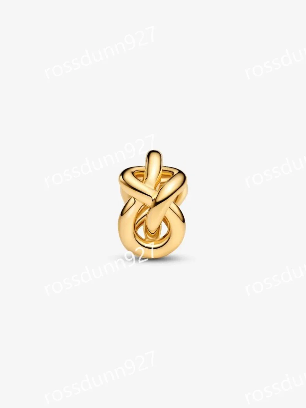 Pandora Infinity Knot Charm